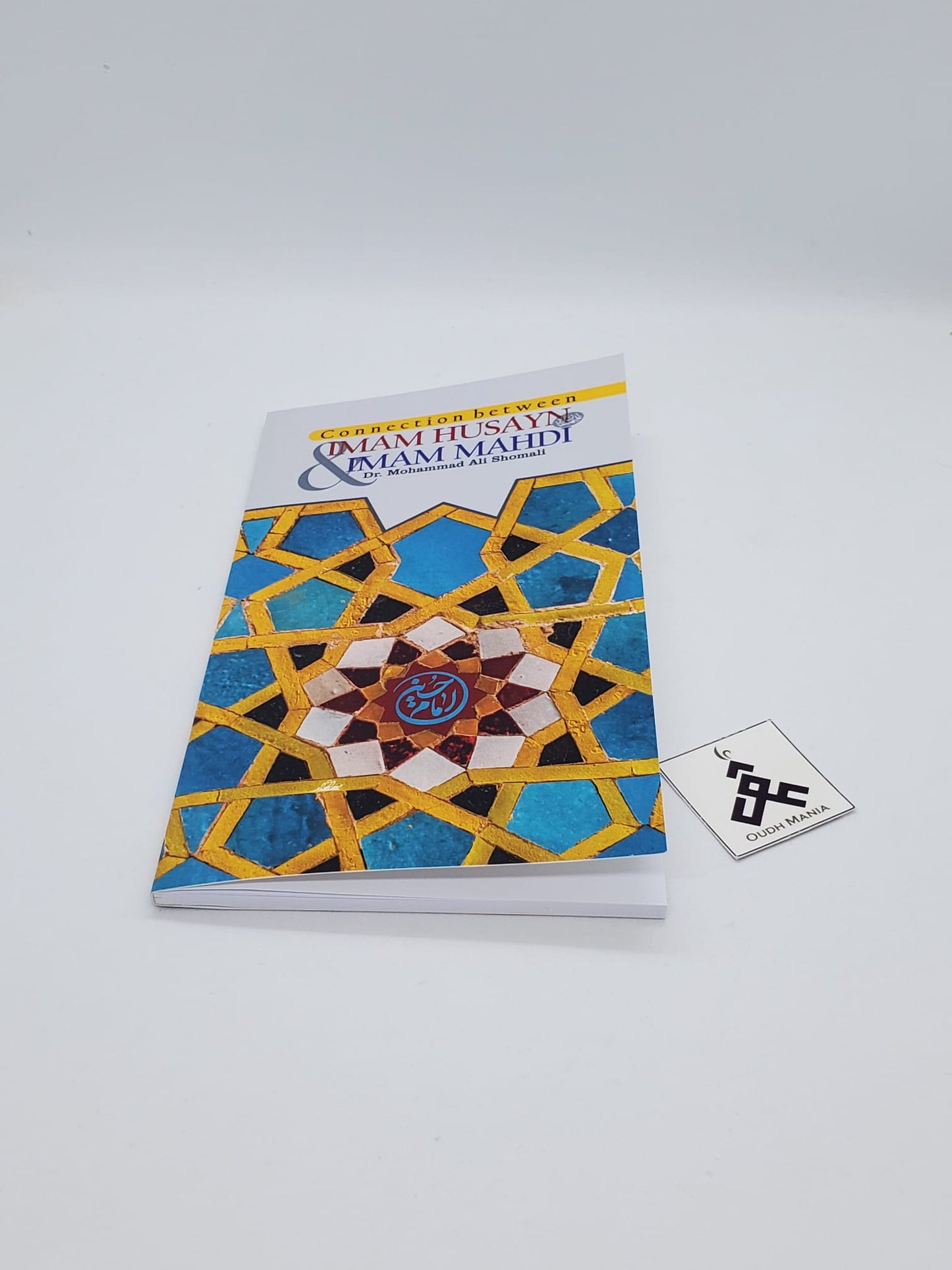 Connection between Imam Husayn & Imam Mahdi | Mohammed Ali Shomali