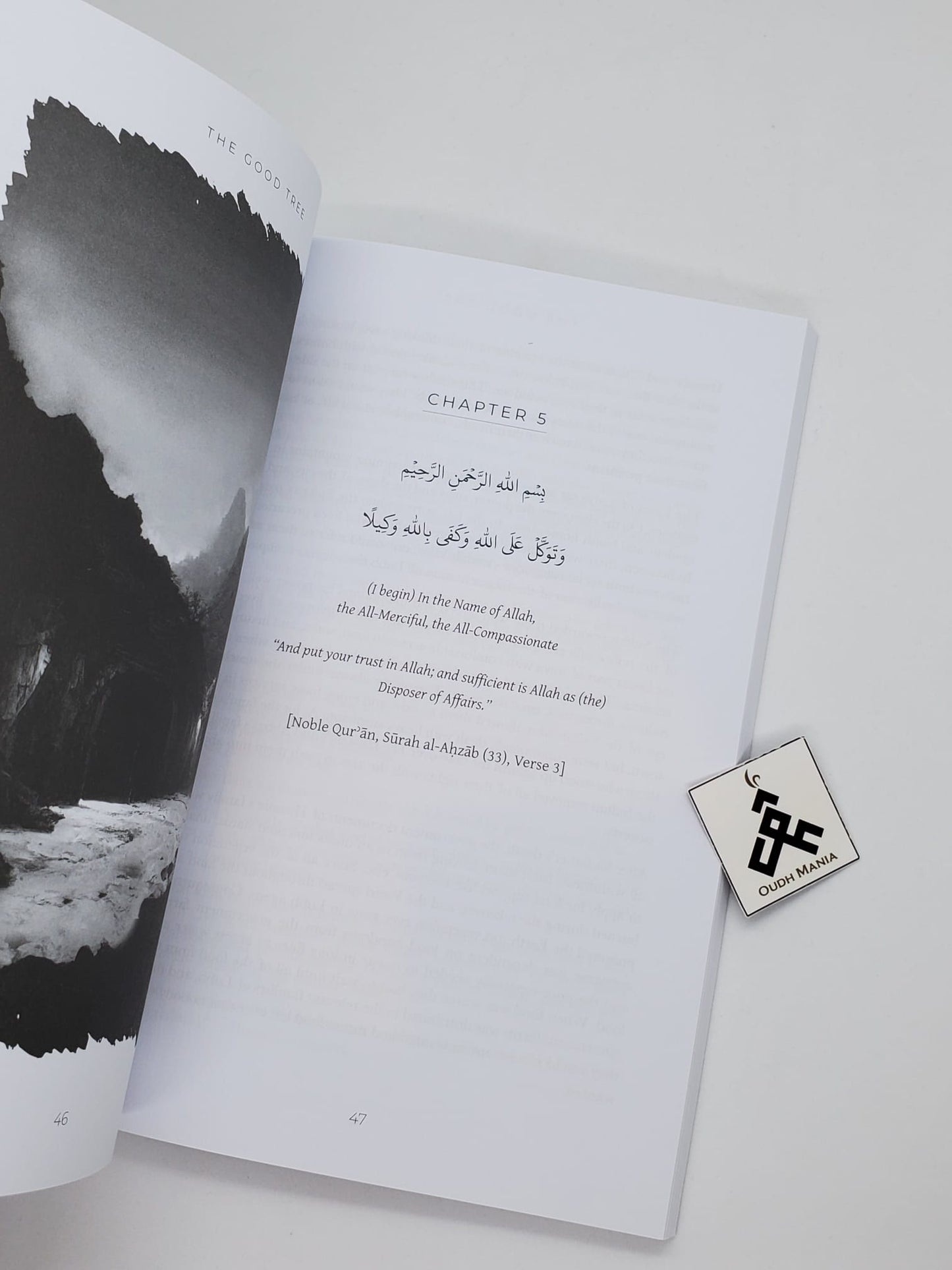 The Good Tree by Kisa Kids Publications