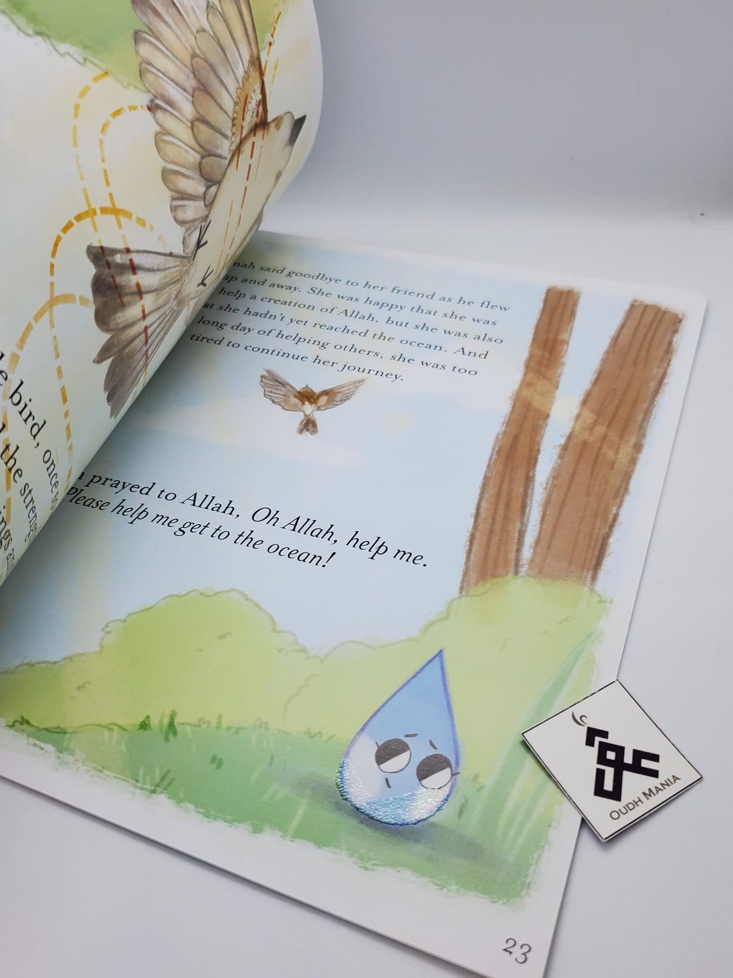 Rahmah the Raindrop book by Kisa Kids Publications