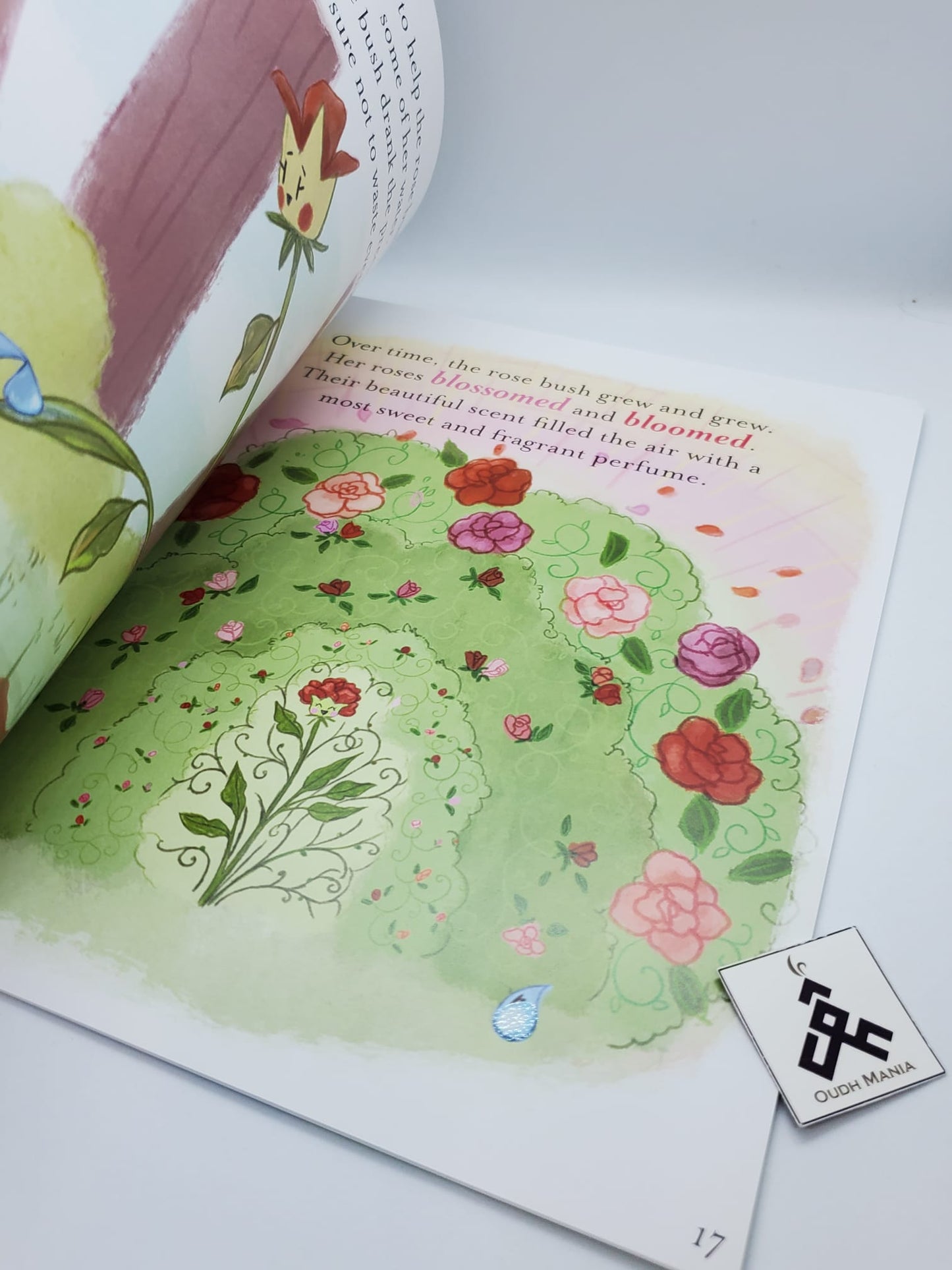 Rahmah the Raindrop book by Kisa Kids Publications