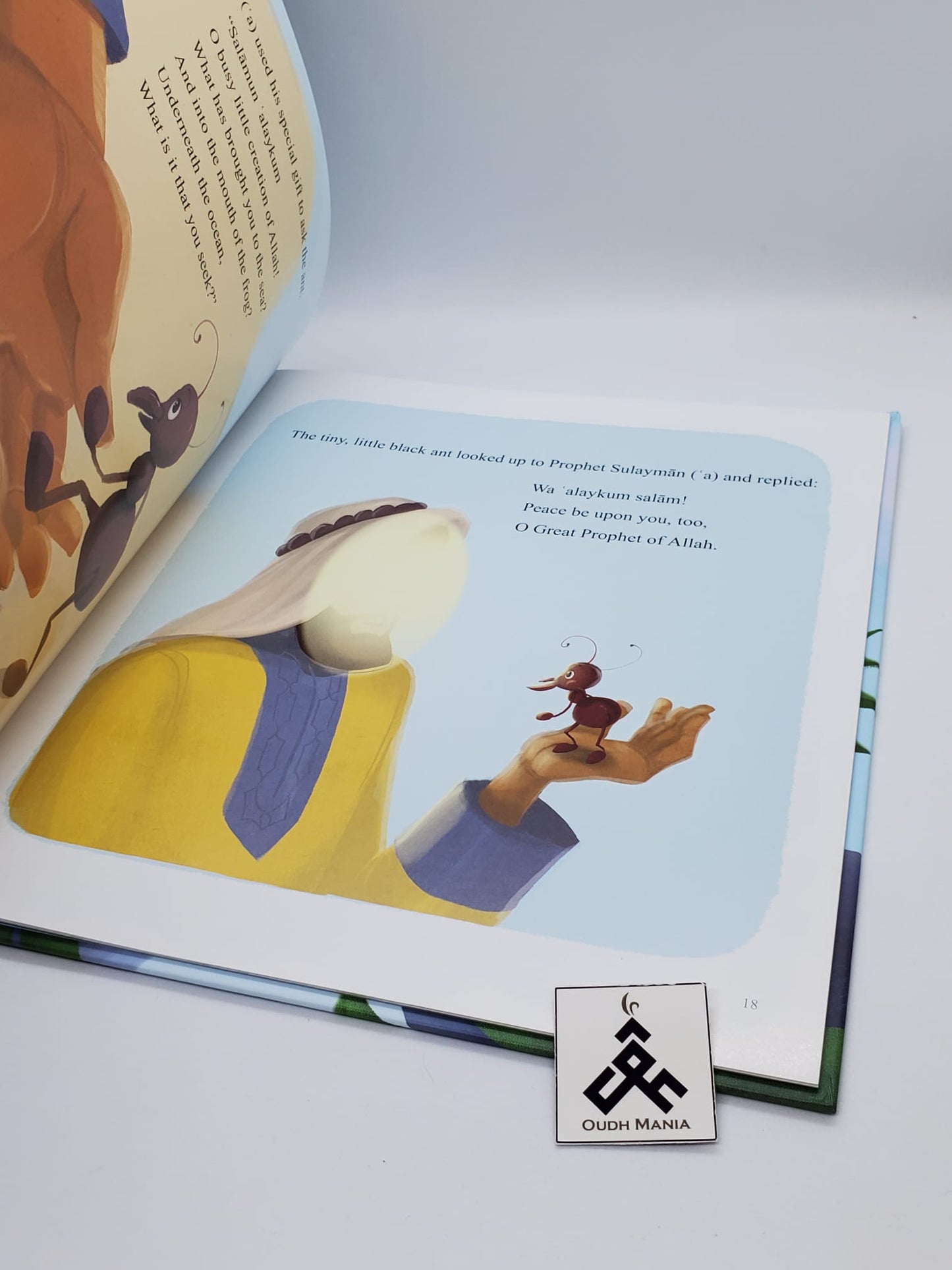 Prophet Suleyman: Does He Remember Me? by Kisa Kids Publications