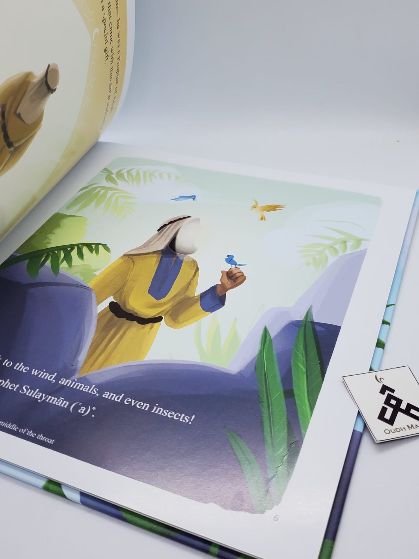 Prophet Suleyman: Does He Remember Me? by Kisa Kids Publications