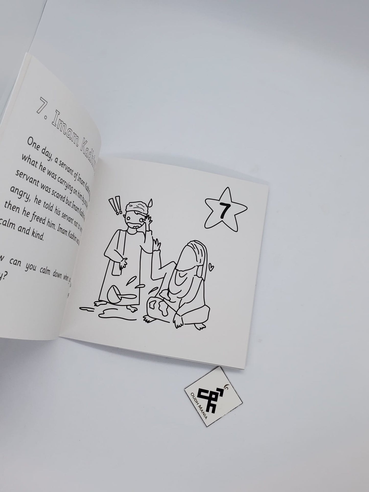 These are my Twelve Imams Board Book | Sun Behind the Clouds