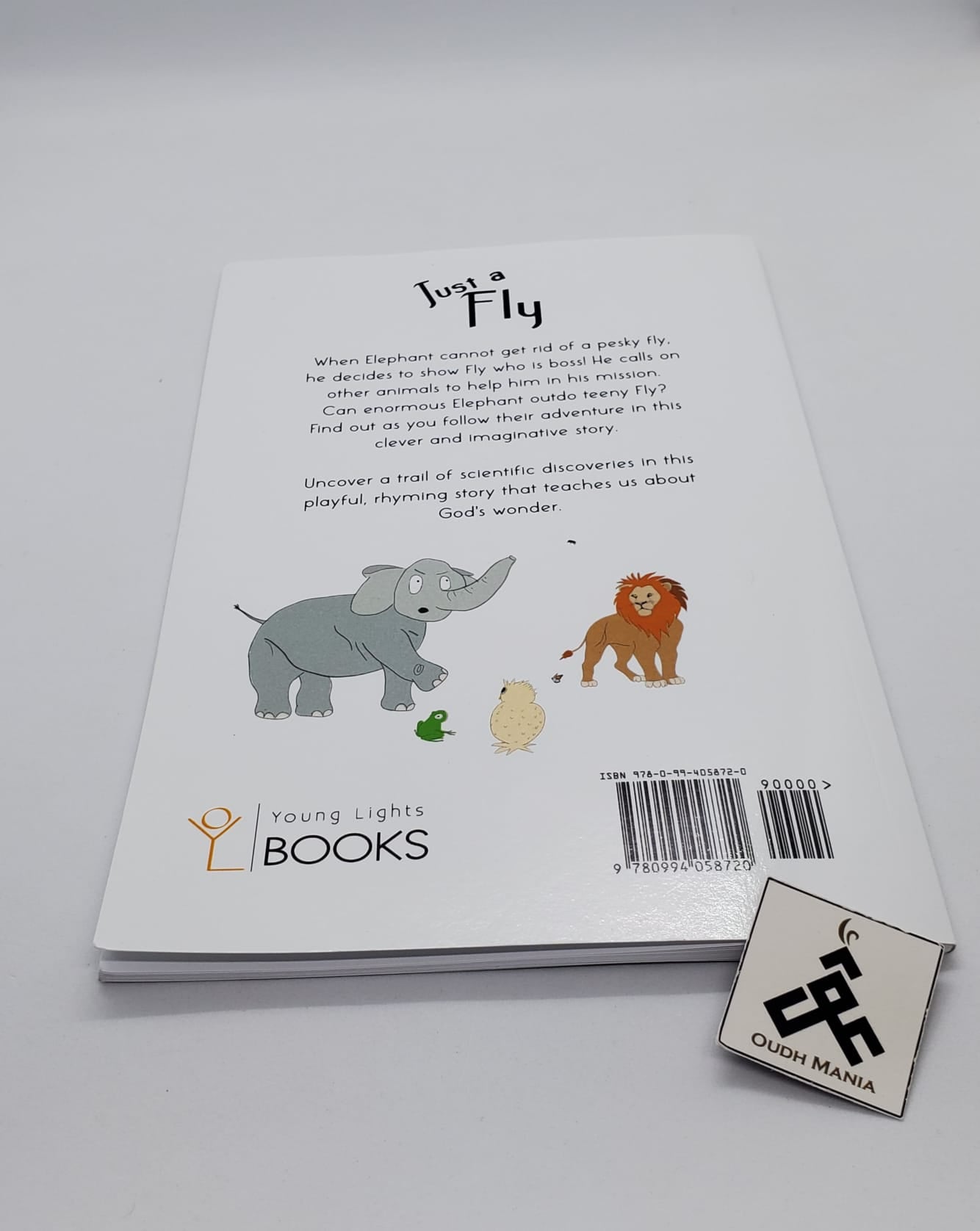 Just a Fly Paperback Rhyming Storybook