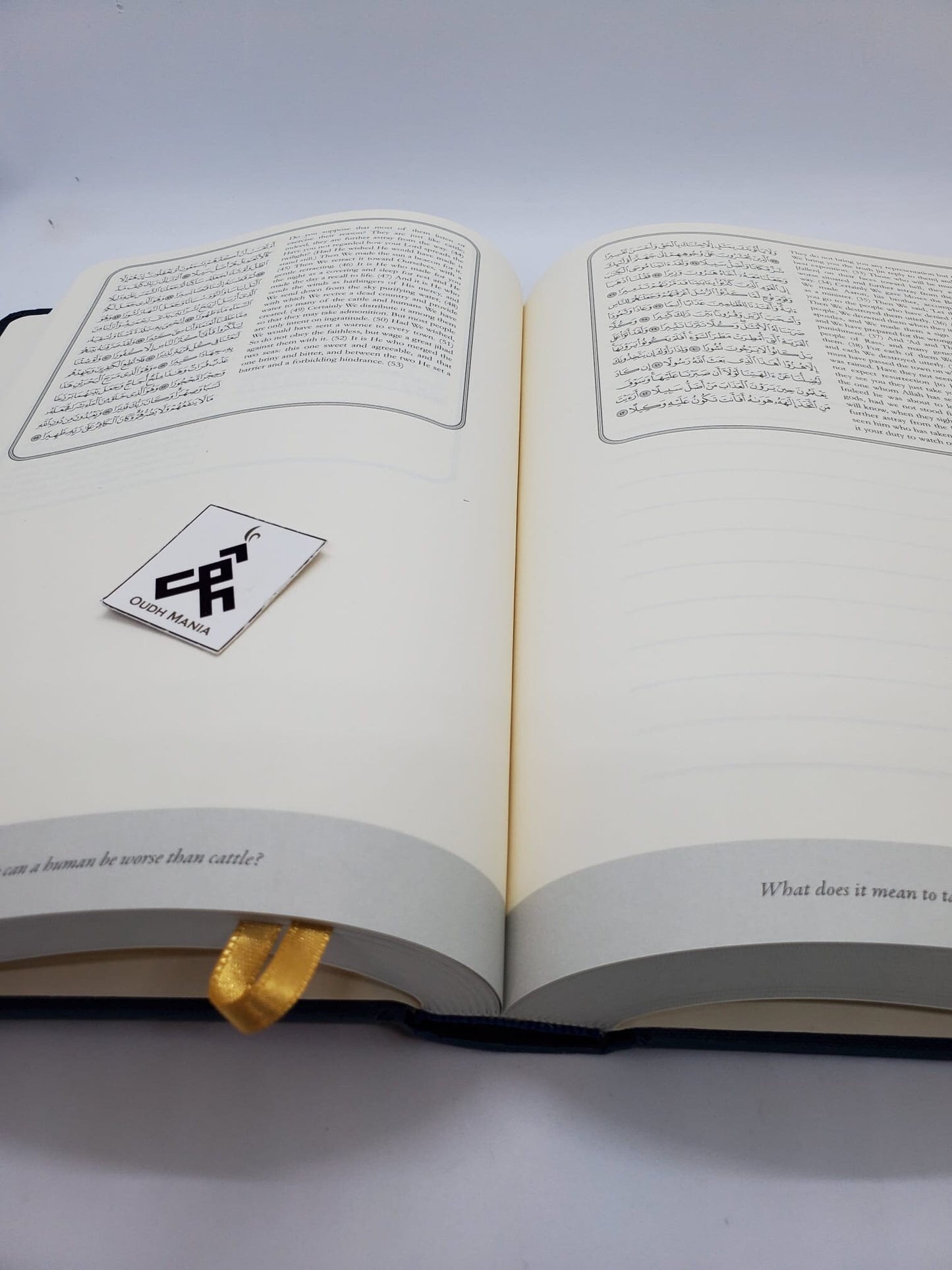 My Quran Study Journal | Journaling Stickers | Sun Behind the Cloud