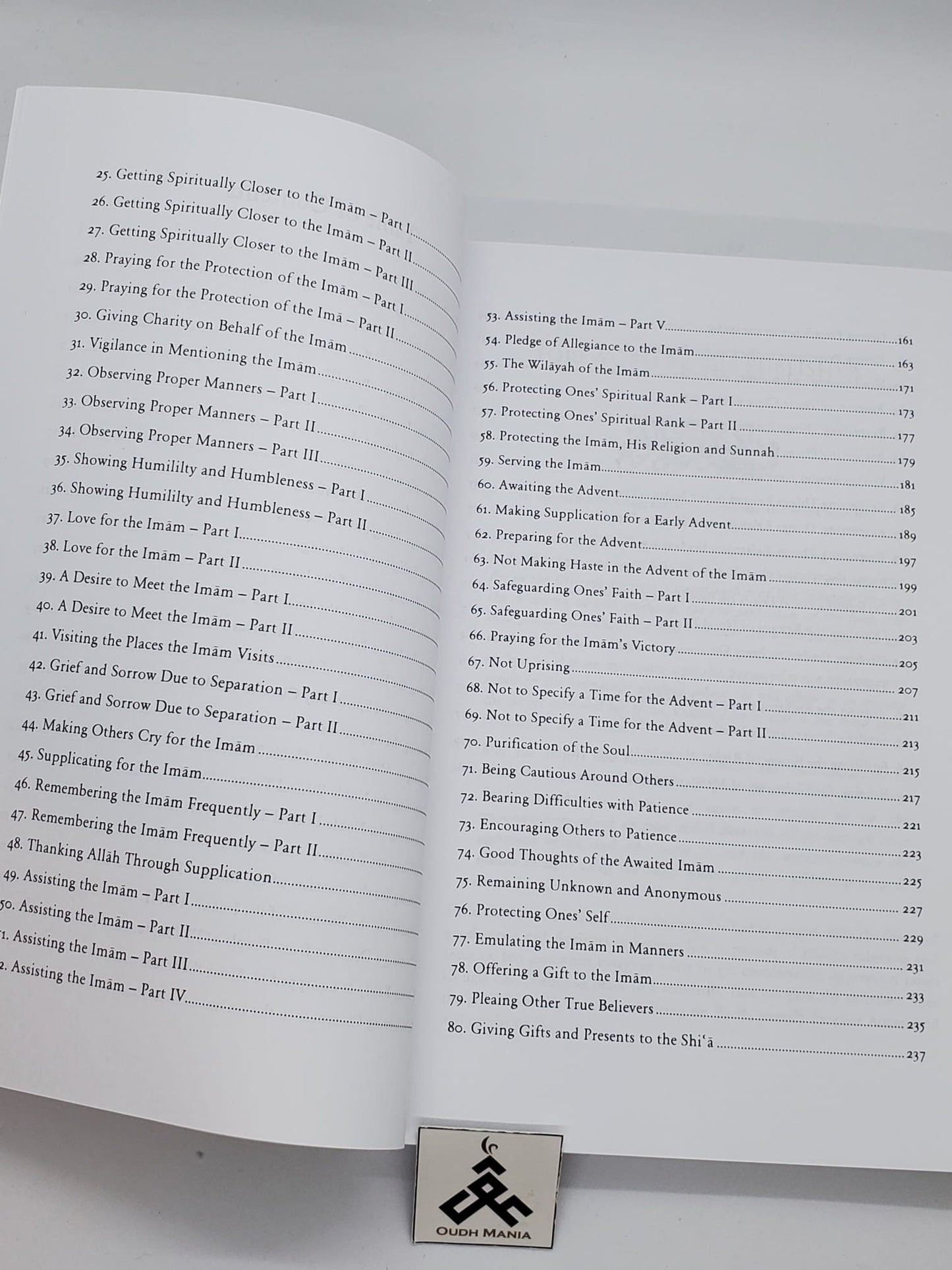 The Last Luminary and Ways to Delve into the Light - written by Sayyid Ridha Husayni Mutlaq