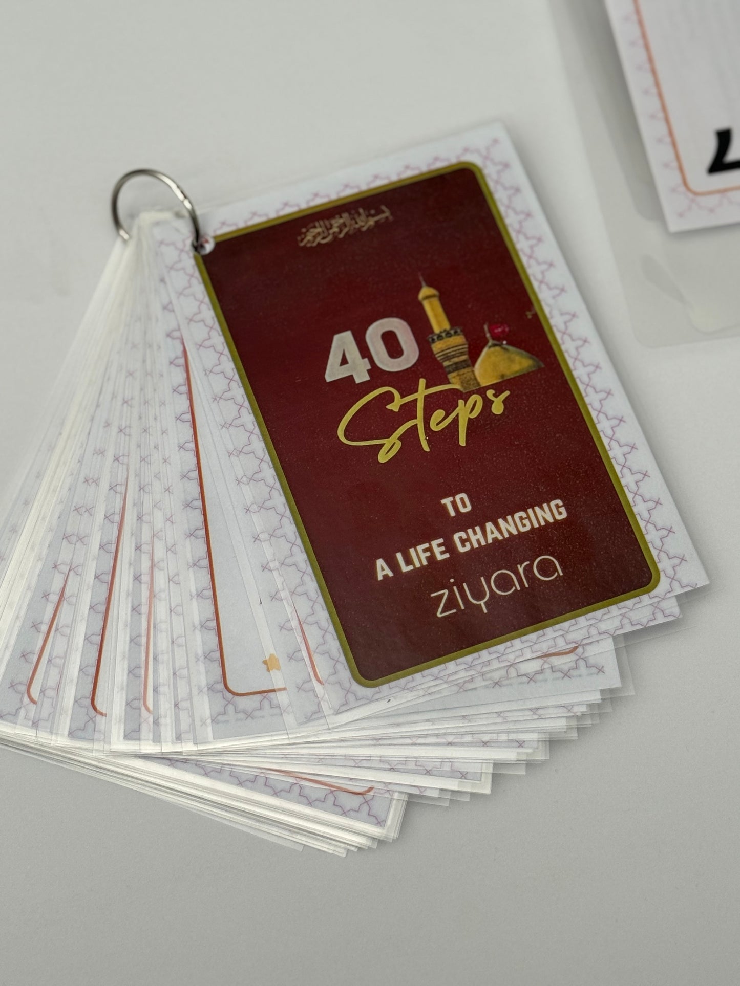 40 Steps to a Life Changing Ziyara | Umm Fatima | Laminated Deck
