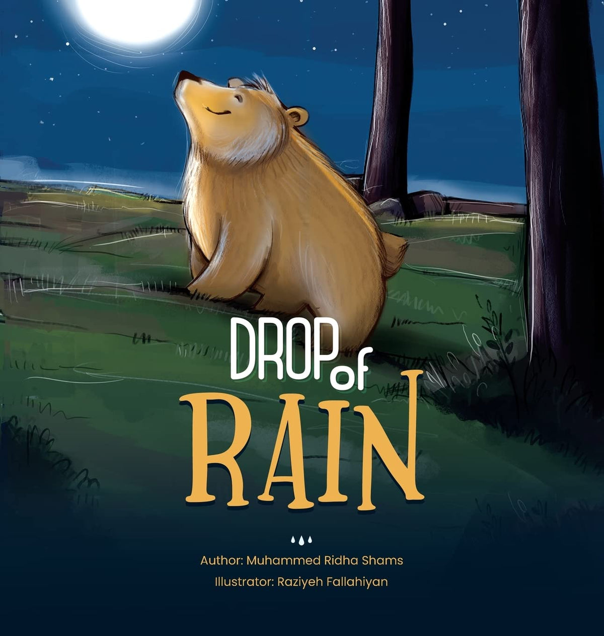 Drop of Rain by Muhammad Ridha Shams | Lantern Publications