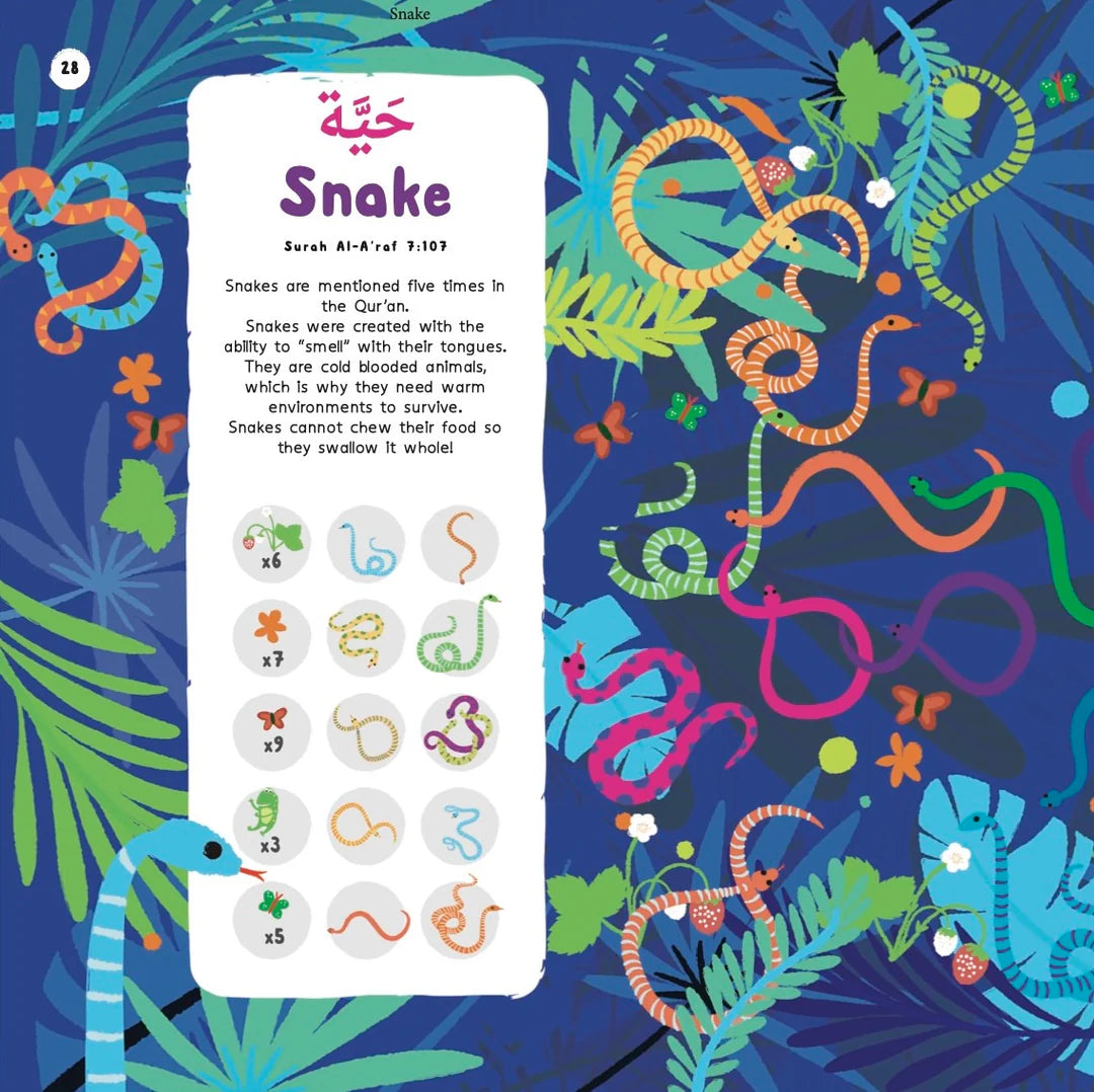 Animals in the Quran: Search and Find Book | OAK Creative Designs