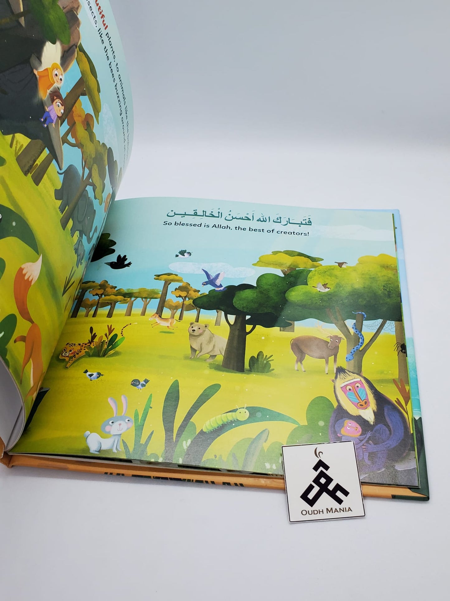 Angel Asmaa and Husna | Set of 3 books | Saabiqoon Books