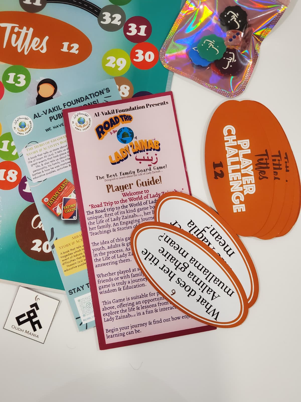 Road Trip to the World of Lady Zainab by Tatheer Vakil | USA Seller