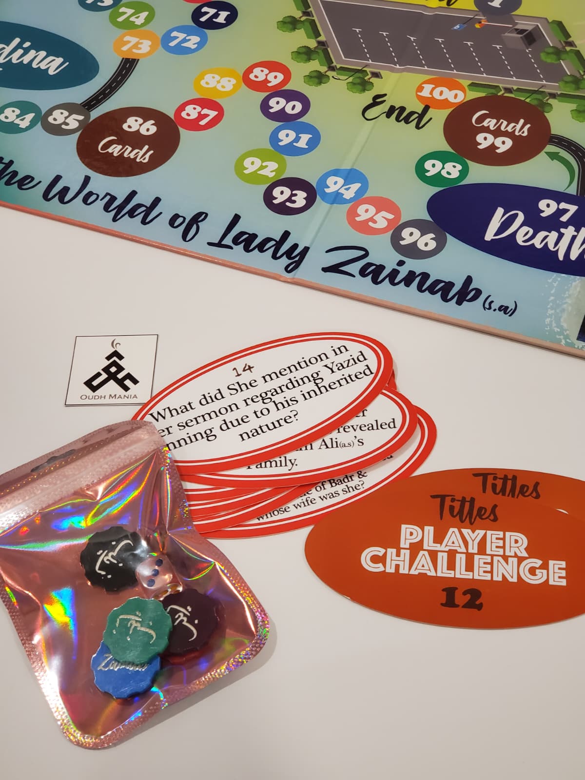 Road Trip to the World of Lady Zainab by Tatheer Vakil | USA Seller