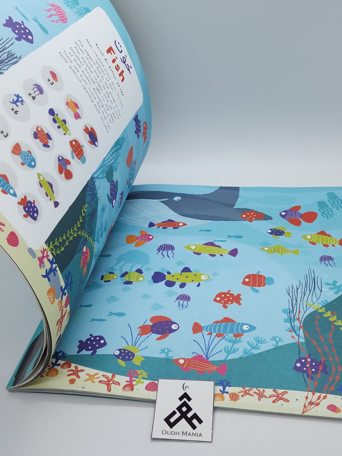 Animals in the Quran: Search and Find Book | OAK Creative Designs