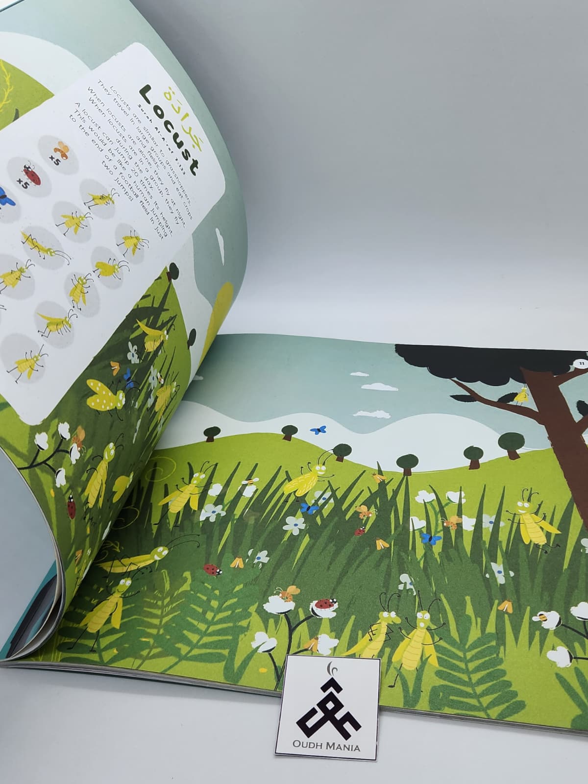 Animals in the Quran: Search and Find Book | OAK Creative Designs