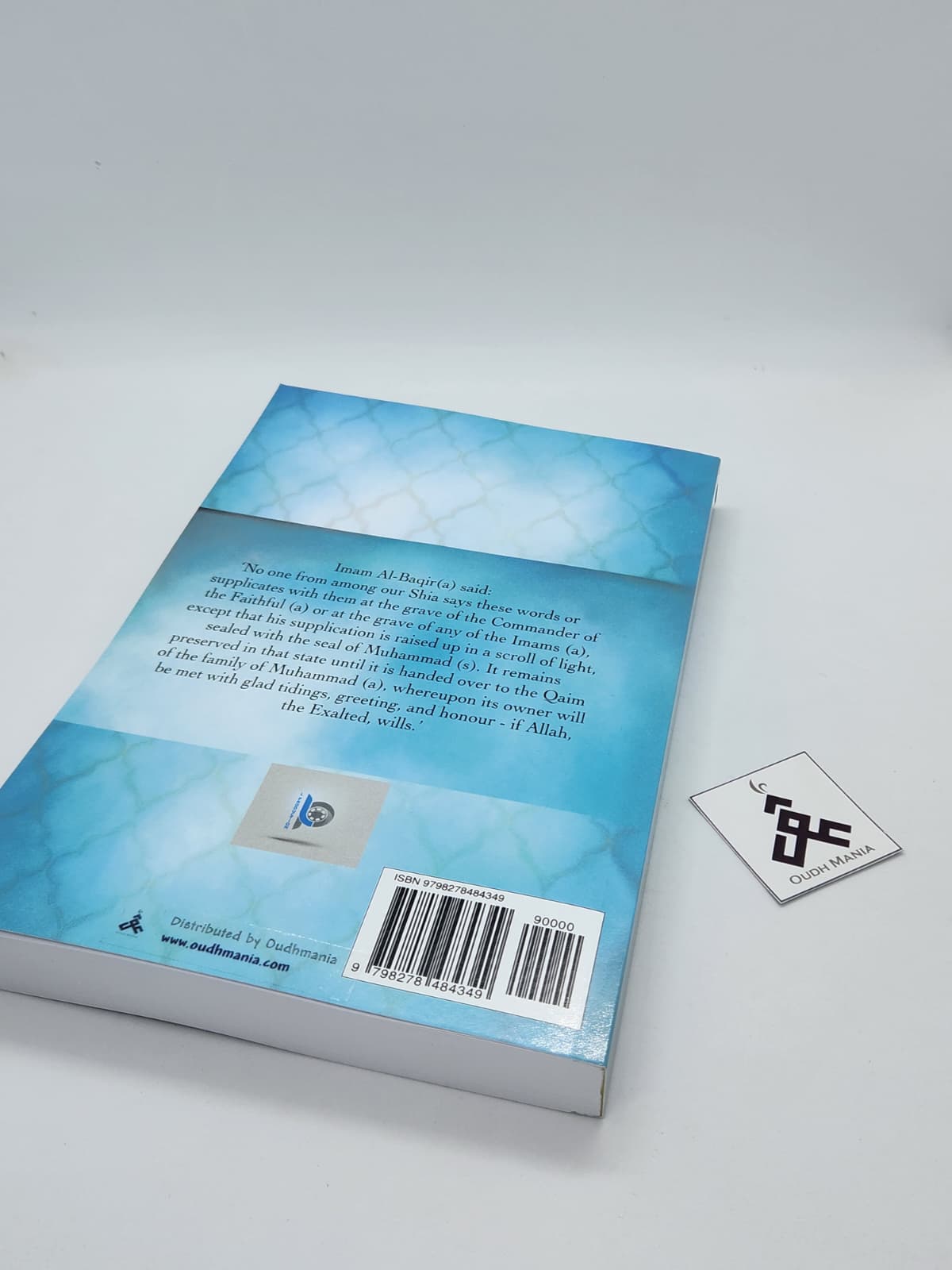 The Trustee of Allah: A Spiritual Journey Through Ziyārat Amīnullāh | Sheikh Mustafa Ali Masood