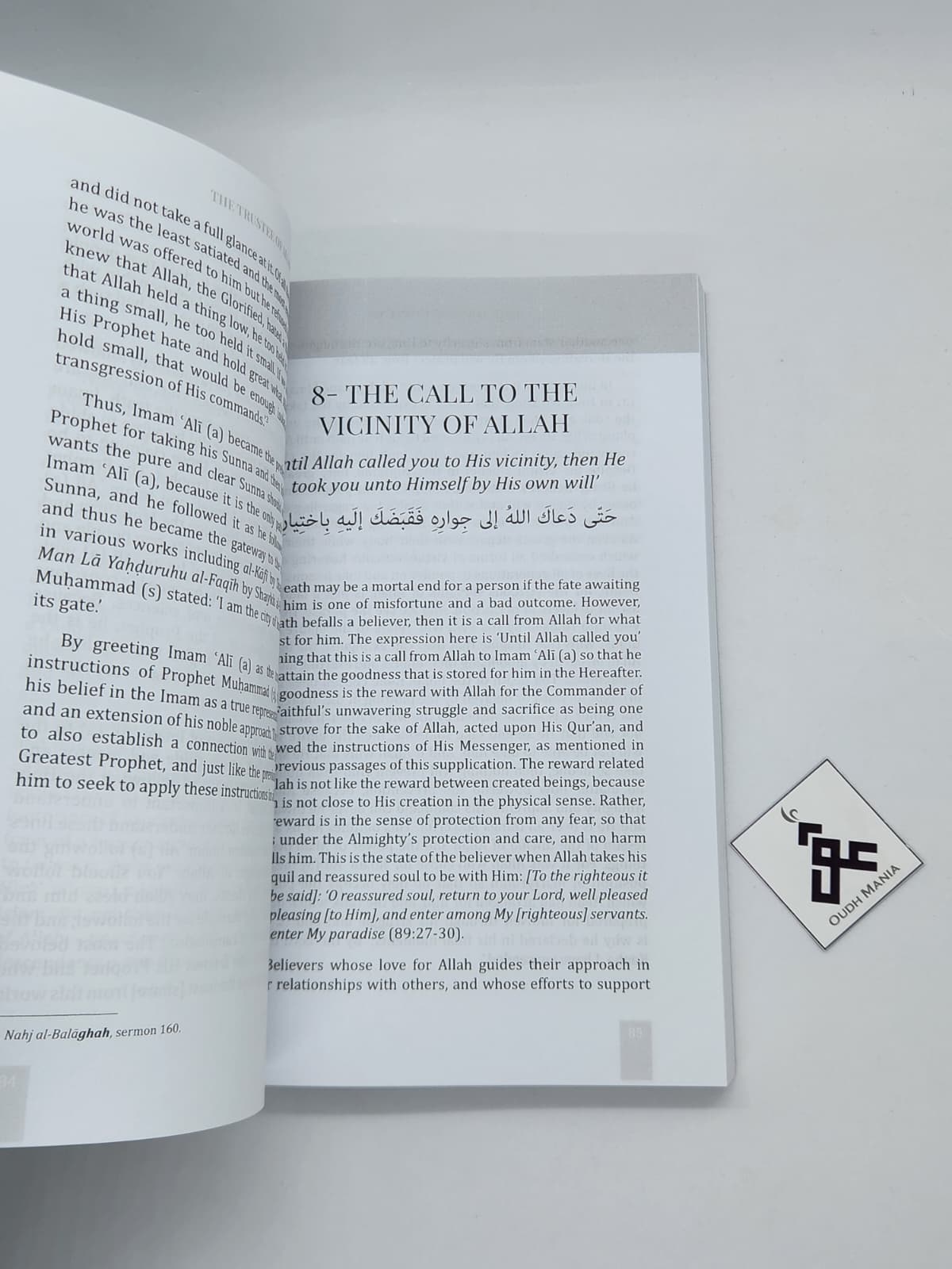 The Trustee of Allah: A Spiritual Journey Through Ziyārat Amīnullāh | Sheikh Mustafa Ali Masood