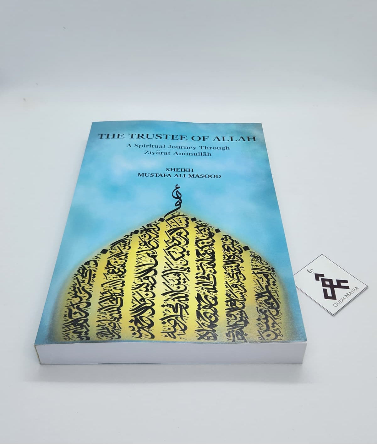 The Trustee of Allah: A Spiritual Journey Through Ziyārat Amīnullāh | Sheikh Mustafa Ali Masood