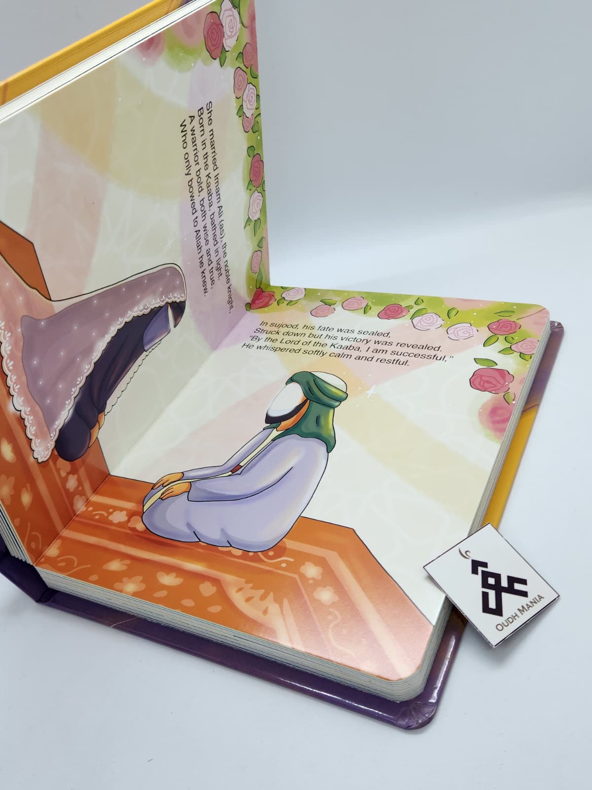 Little Aliya & the Lantern of Light! | Aliya & Hasan's Bookshelf