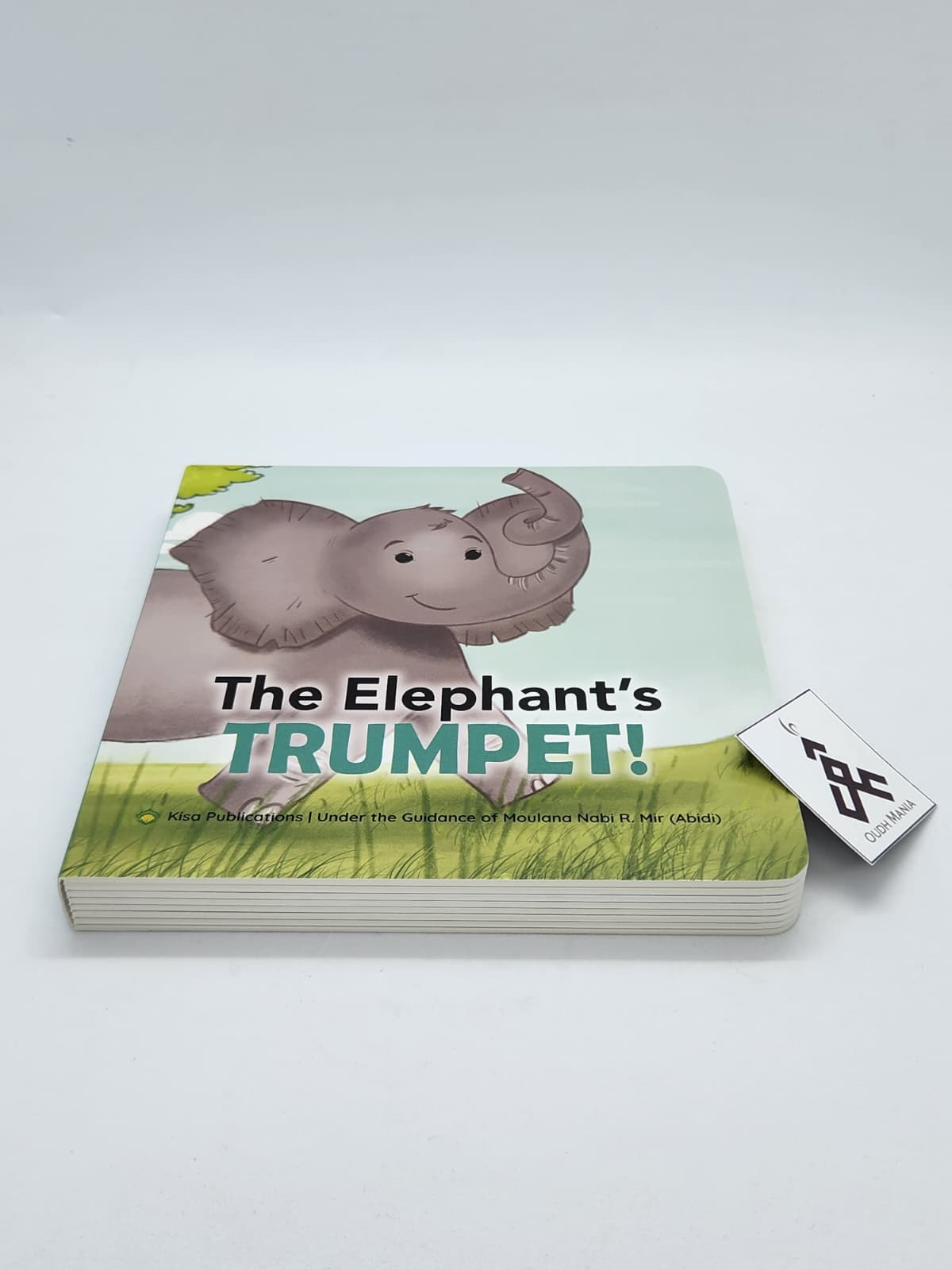 Animals Pray, Too! by Kisa Kids Publications