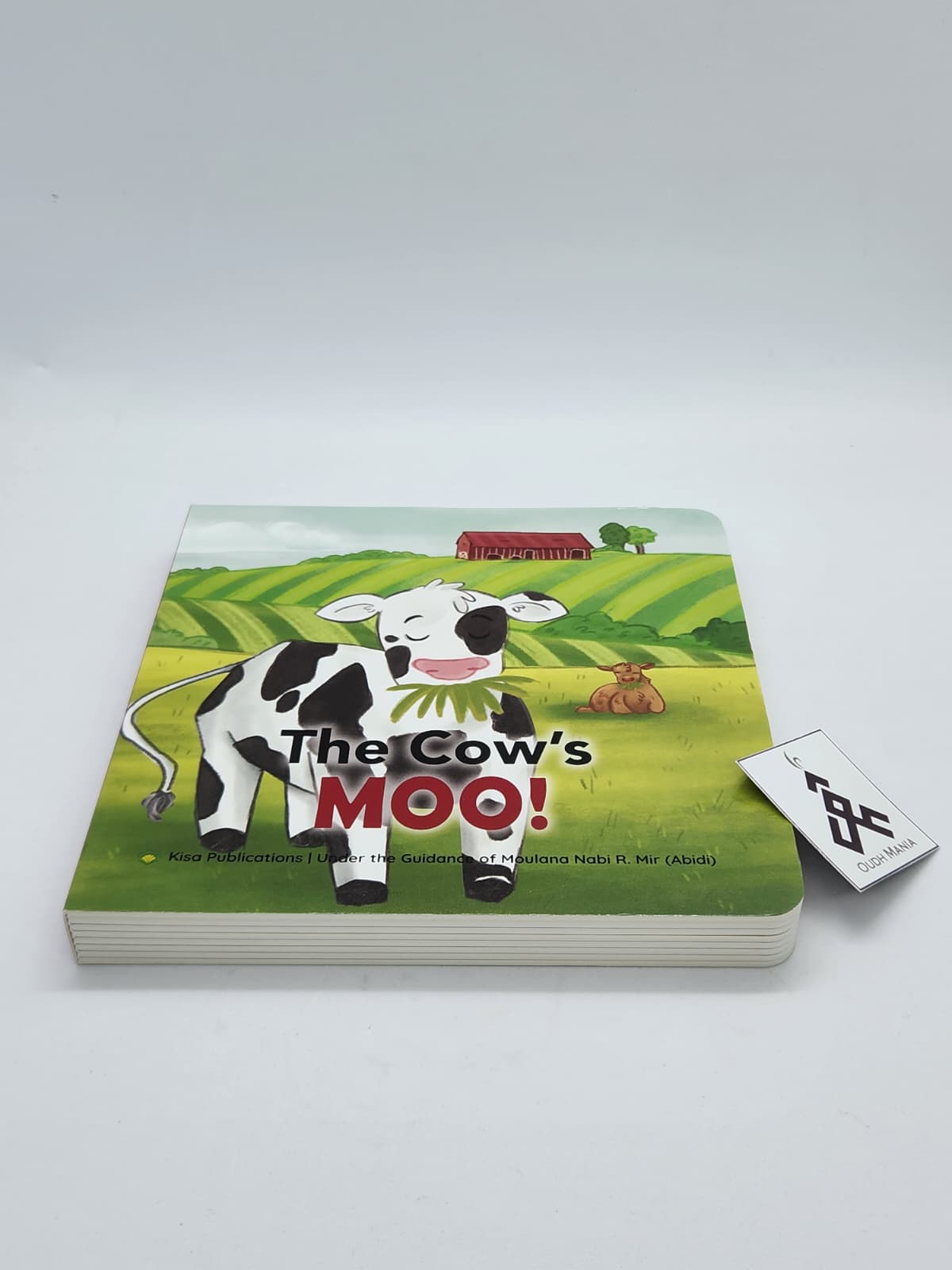 Animals Pray, Too! by Kisa Kids Publications