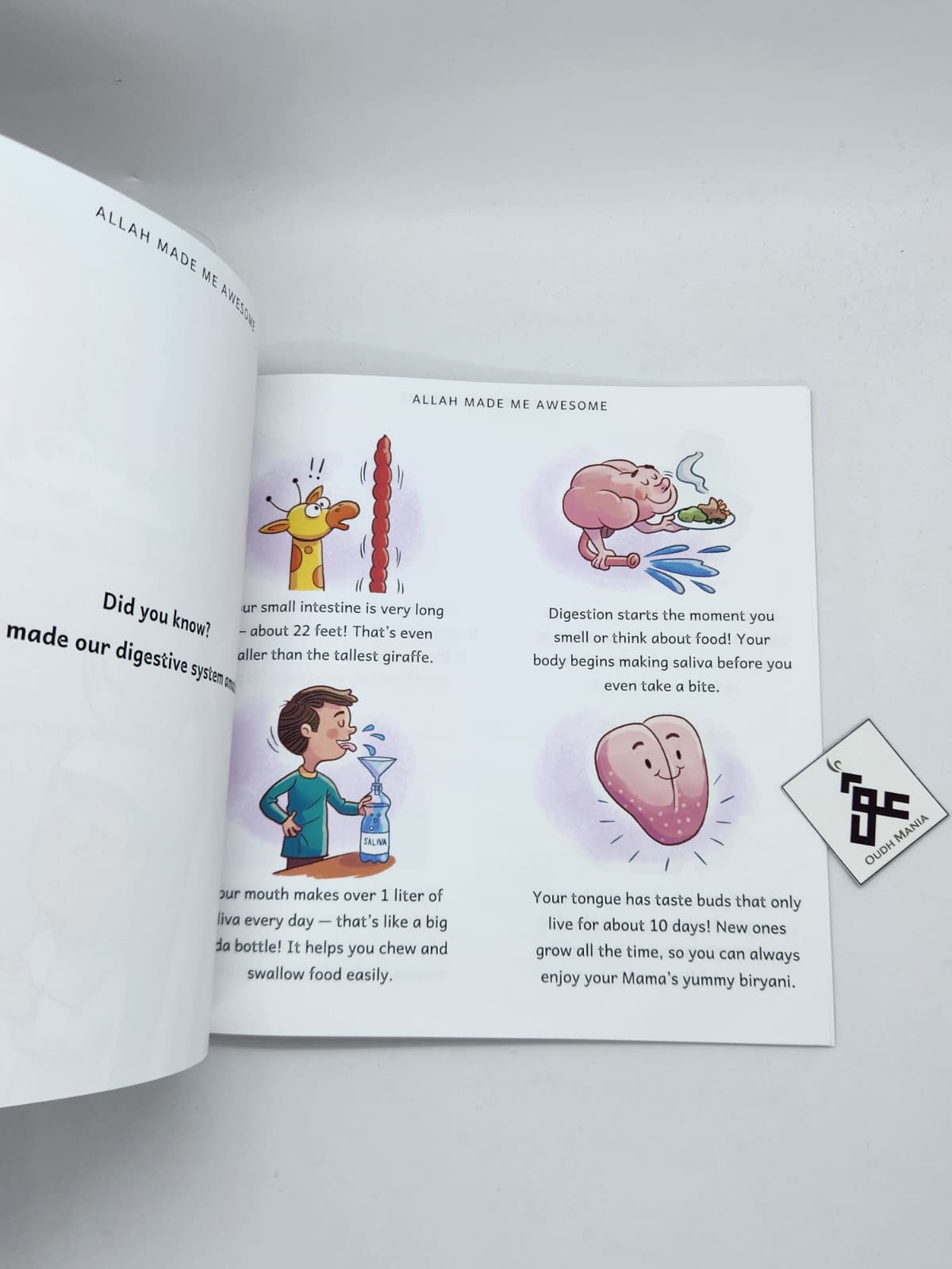 Allah Made Me Awesome: Zayn Learns the Wonders of the Digestive System | Zayaan Tales