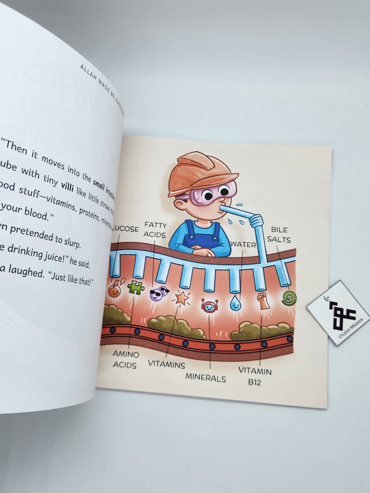 Allah Made Me Awesome: Zayn Learns the Wonders of the Digestive System | Zayaan Tales