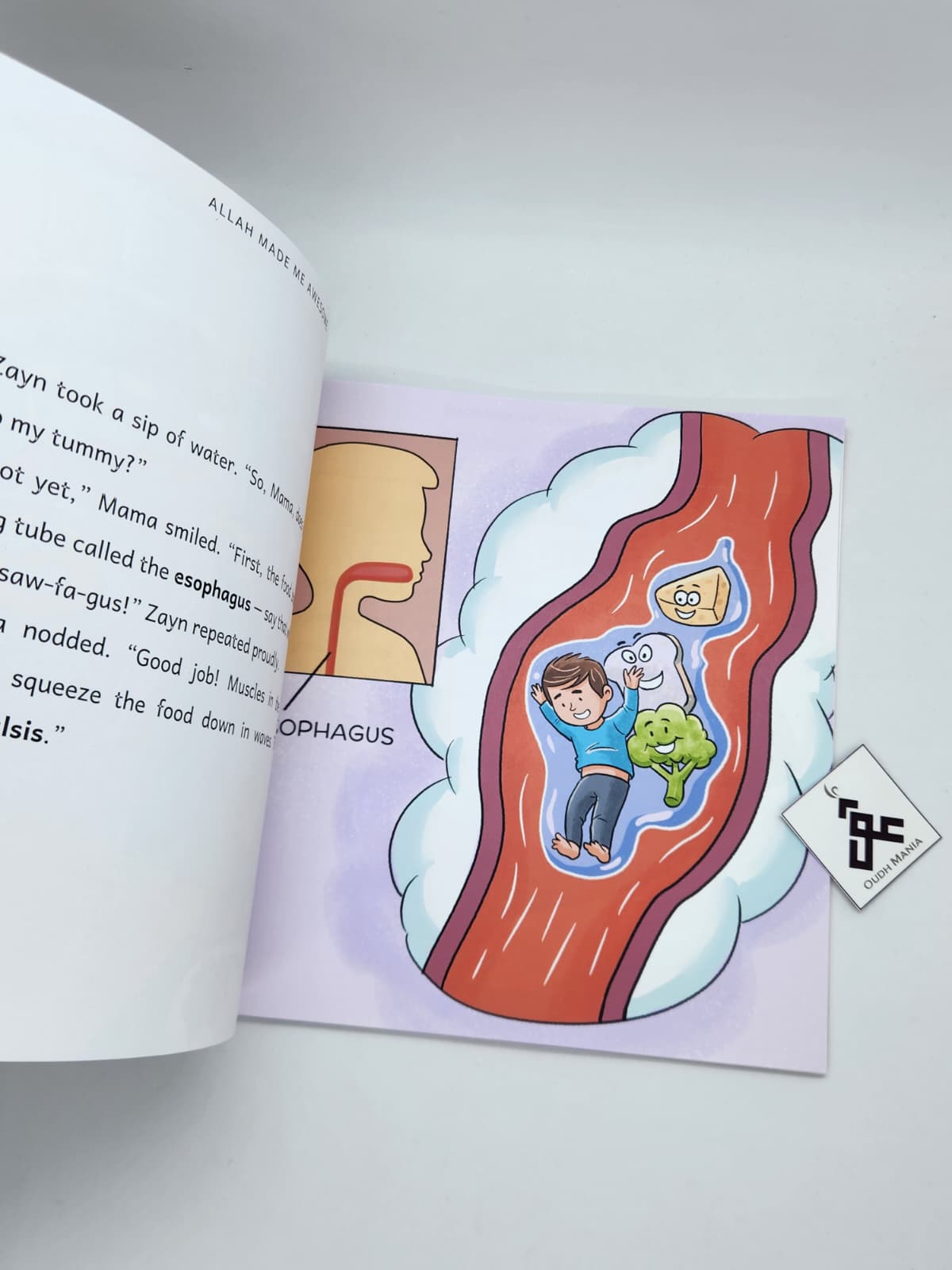 Allah Made Me Awesome: Zayn Learns the Wonders of the Digestive System | Zayaan Tales