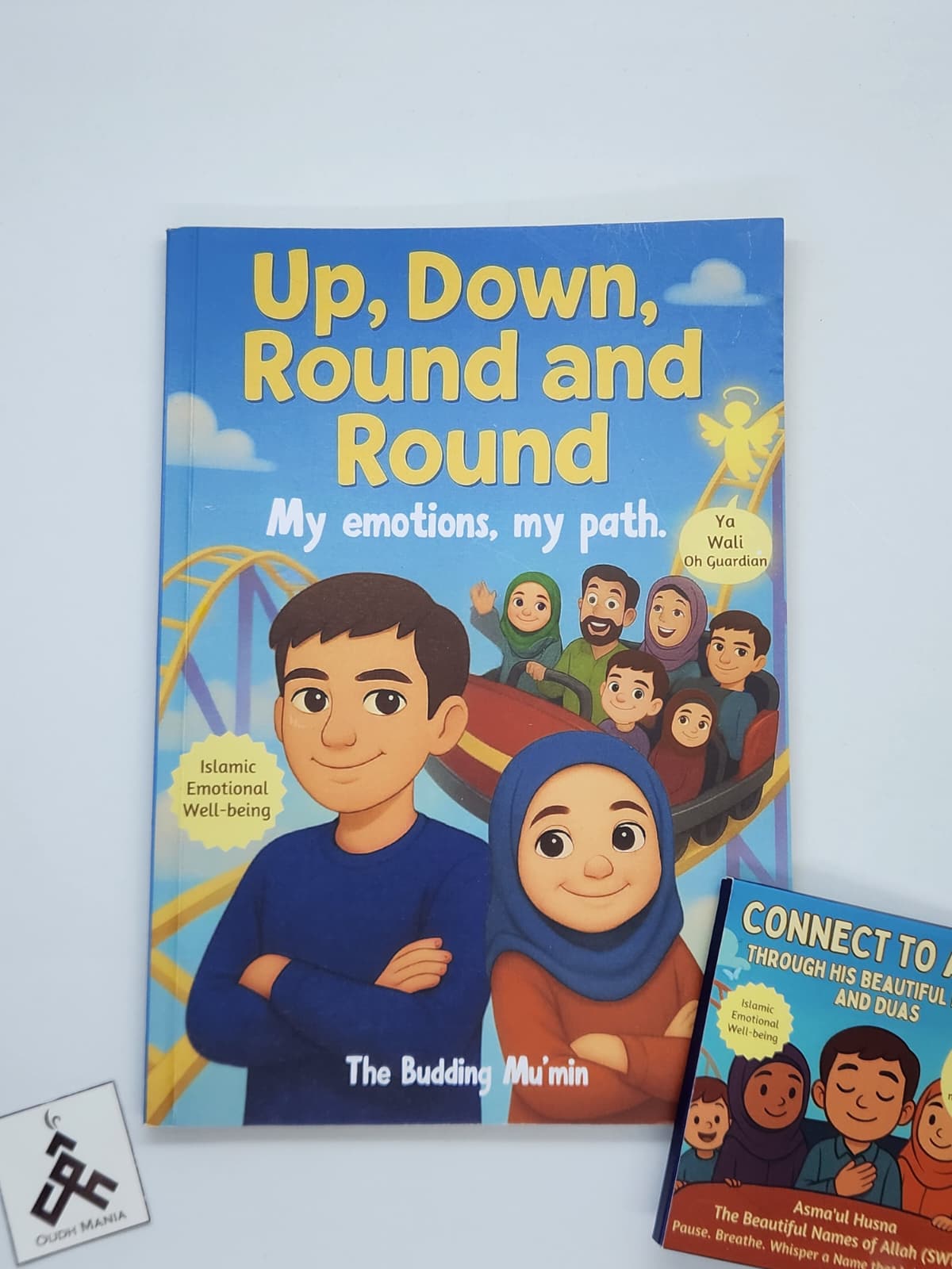 Up, Down, Round and Round — My Emotions, My Path Islamic Emotional Well-being Book + Matching Card Set | The Budding Mumin