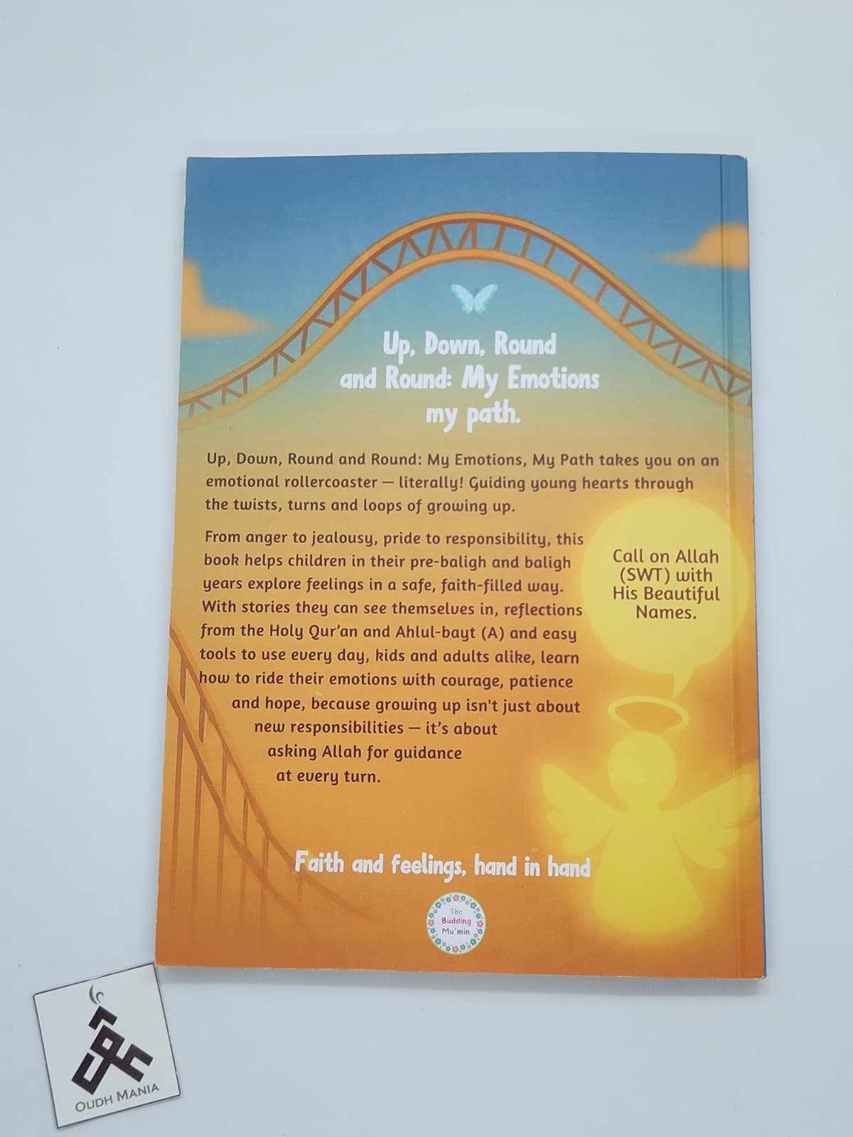 Up, Down, Round and Round — My Emotions, My Path Islamic Emotional Well-being Book + Matching Card Set | The Budding Mumin