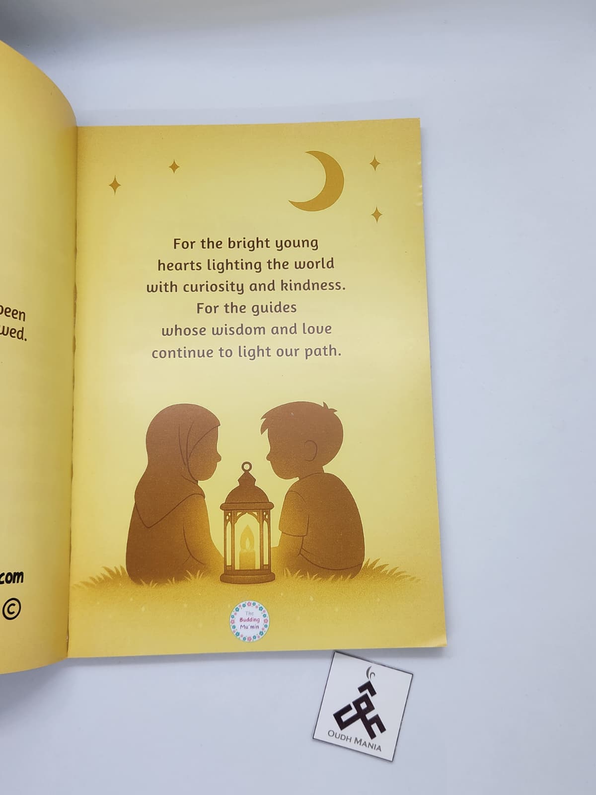 Up, Down, Round and Round — My Emotions, My Path Islamic Emotional Well-being Book + Matching Card Set | The Budding Mumin