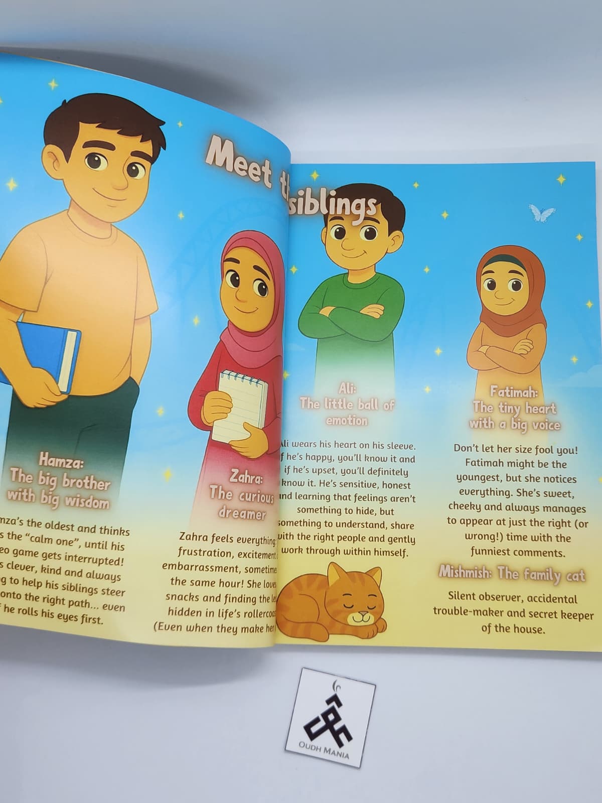 Up, Down, Round and Round — My Emotions, My Path Islamic Emotional Well-being Book + Matching Card Set | The Budding Mumin