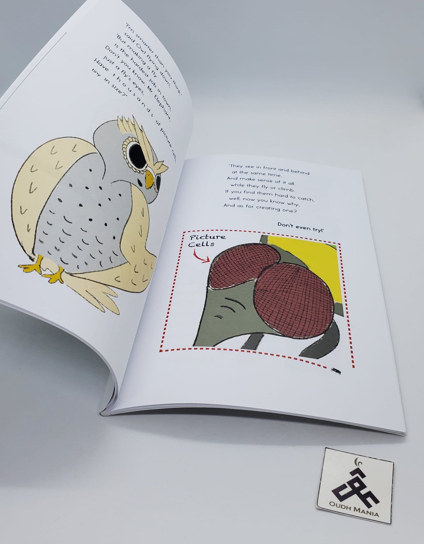 Just a Fly Paperback Rhyming Storybook