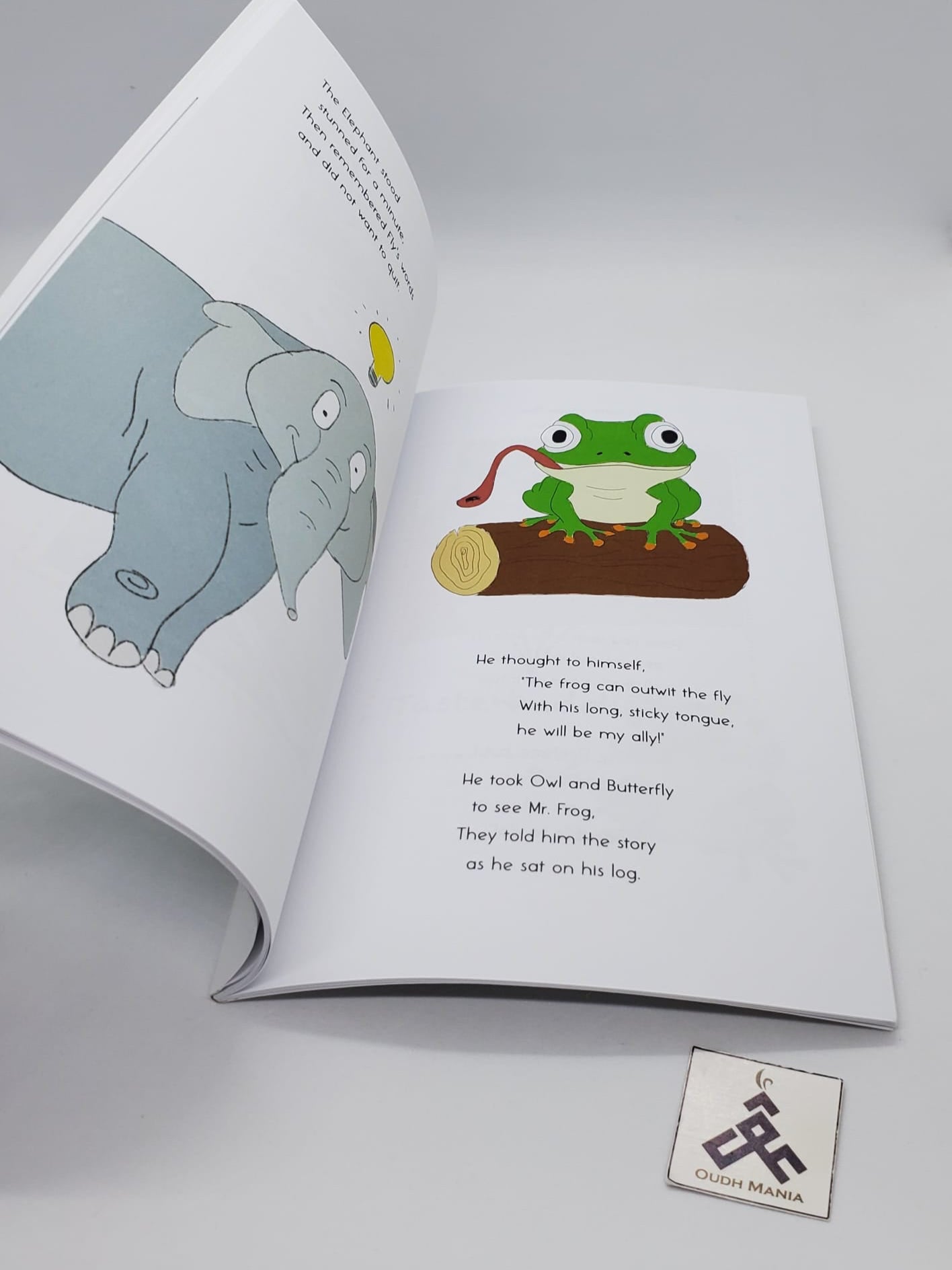 Just a Fly Paperback Rhyming Storybook